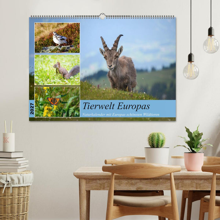 Tierwelt Europas - Naturkalender mit Europas schönsten Wildtieren (CALVENDO Wandkalender 2027)