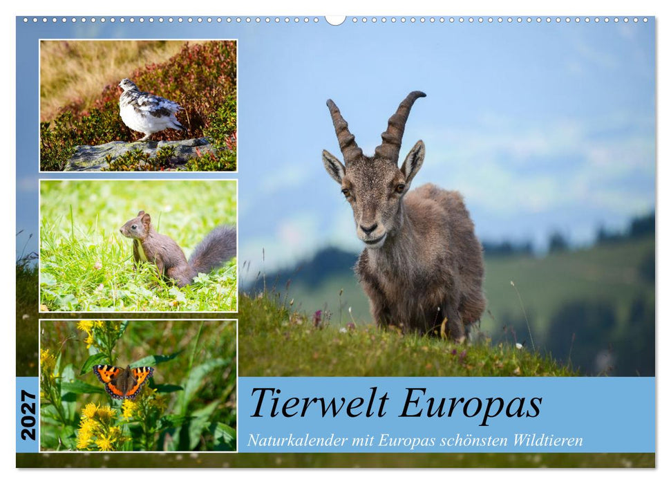 Tierwelt Europas - Naturkalender mit Europas schönsten Wildtieren (CALVENDO Wandkalender 2027)