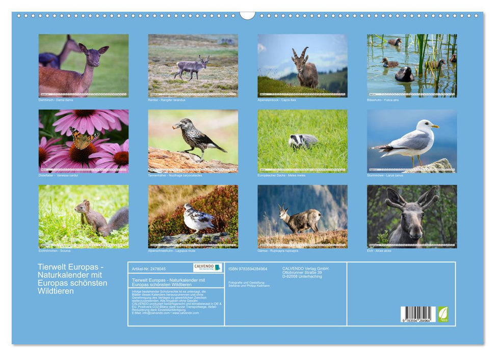 Tierwelt Europas - Naturkalender mit Europas schönsten Wildtieren (CALVENDO Wandkalender 2027)