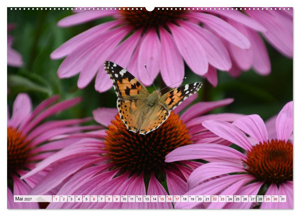 Tierwelt Europas - Naturkalender mit Europas schönsten Wildtieren (CALVENDO Wandkalender 2027)