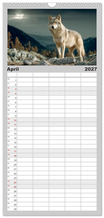 Wölfe im Mondlicht - Ruf der Wildnis (CALVENDO Familienplaner 2027)