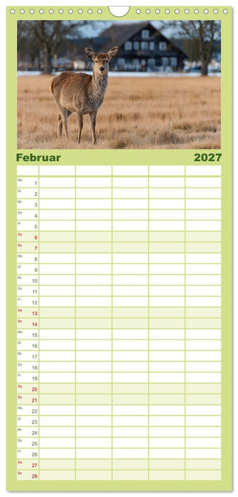 HIRSCHE UND REHE - Ein Jahr in freier Wildbahn (CALVENDO Familienplaner 2027)