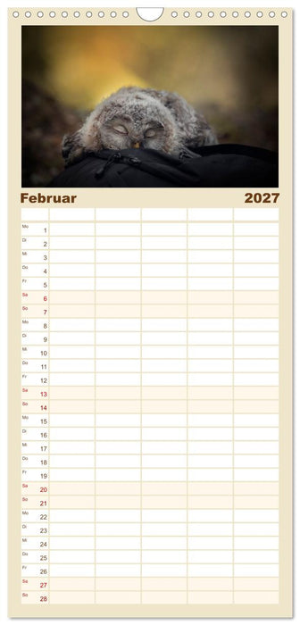 Eulen - schön und geheimnisvoll (CALVENDO Familienplaner 2027)