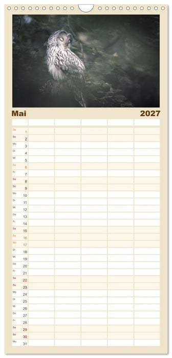 Eulen - schön und geheimnisvoll (CALVENDO Familienplaner 2027)