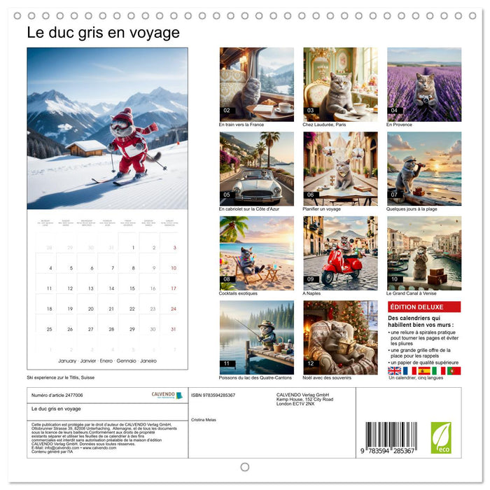 Le duc gris en voyage (CALVENDO Calendrier mensuel 2027)