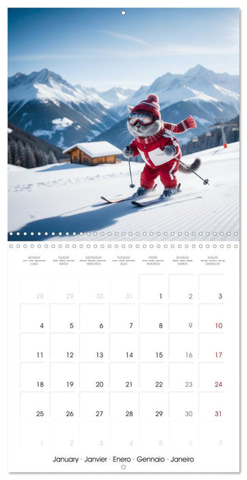 Le duc gris en voyage (CALVENDO Calendrier mensuel 2027)