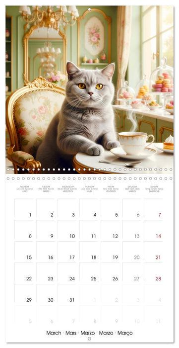 Le duc gris en voyage (CALVENDO Calendrier mensuel 2027)