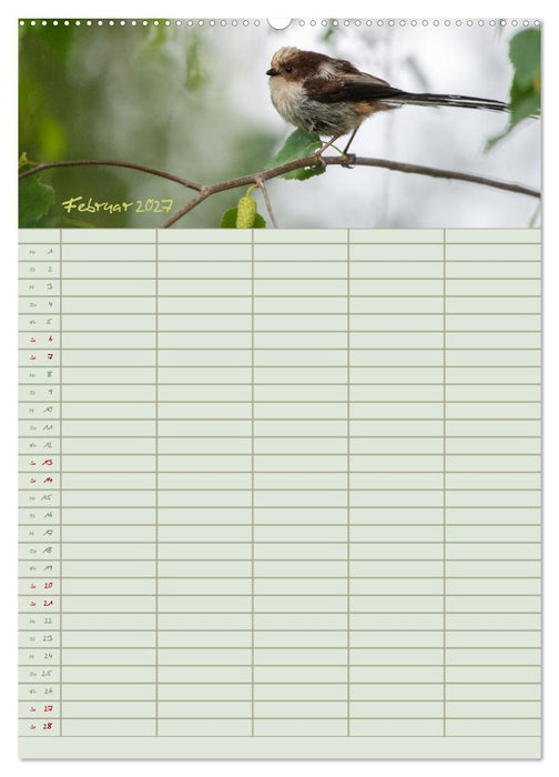Naturgartenglück - Jahresplaner für Garten- und Naturliebhaber (CALVENDO Wandkalender 2027)
