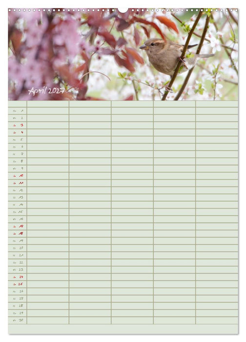 Naturgartenglück - Jahresplaner für Garten- und Naturliebhaber (CALVENDO Wandkalender 2027)