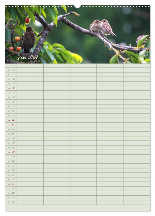 Naturgartenglück - Jahresplaner für Garten- und Naturliebhaber (CALVENDO Wandkalender 2027)