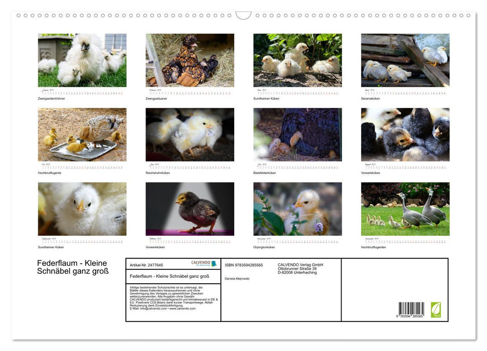 Federflaum - Kleine Schnäbel ganz groß (CALVENDO Wandkalender 2027)
