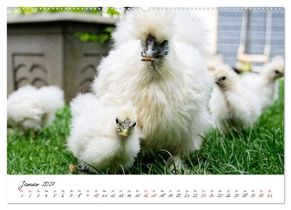 Federflaum - Kleine Schnäbel ganz groß (CALVENDO Wandkalender 2027)