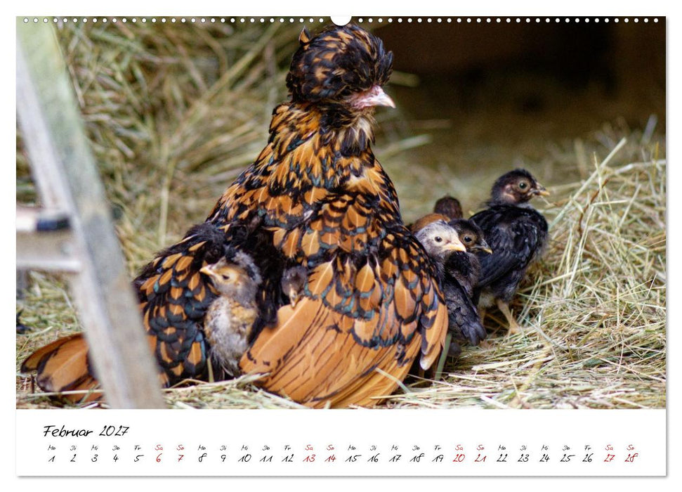 Federflaum - Kleine Schnäbel ganz groß (CALVENDO Wandkalender 2027)