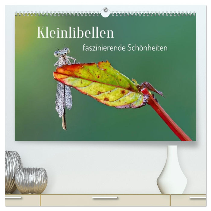 Kleinlibellen - faszinierende Schönheiten (CALVENDO Premium Wandkalender 2027)