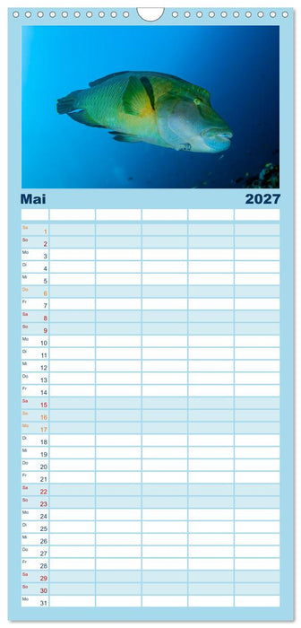 Faszinierende Meereswelt der Malediven (CALVENDO Familienplaner 2027)