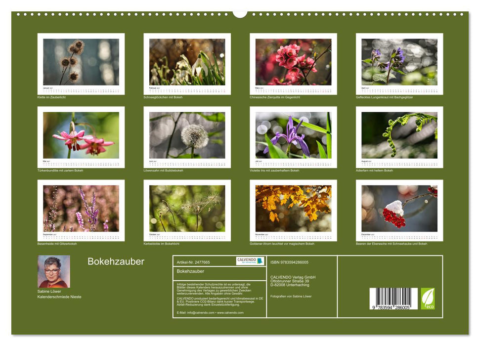 Bokehzauber (CALVENDO Wandkalender 2027)