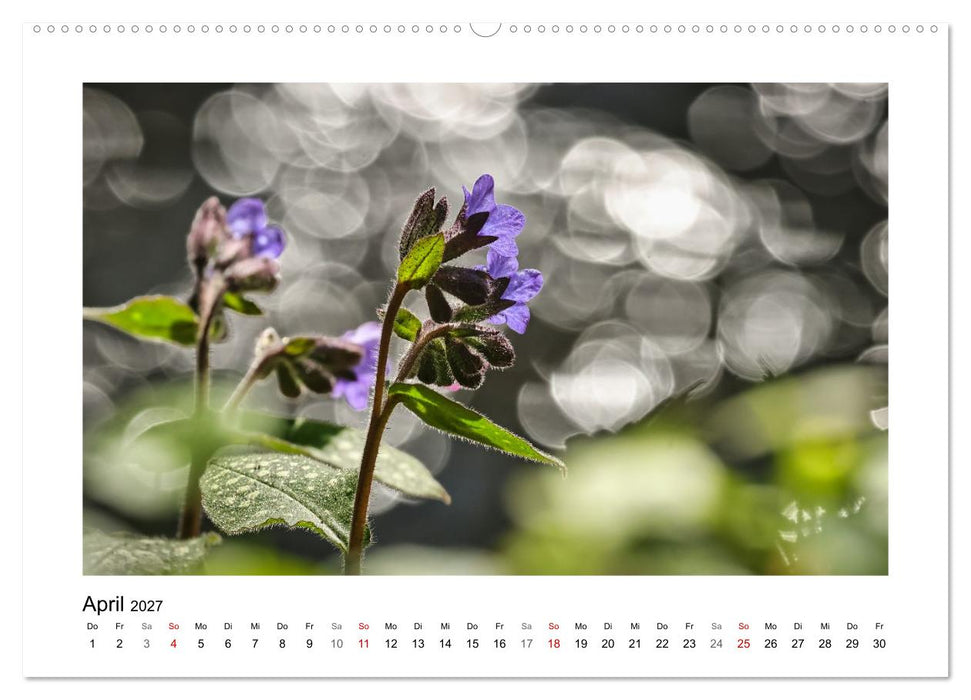 Bokehzauber (CALVENDO Wandkalender 2027)