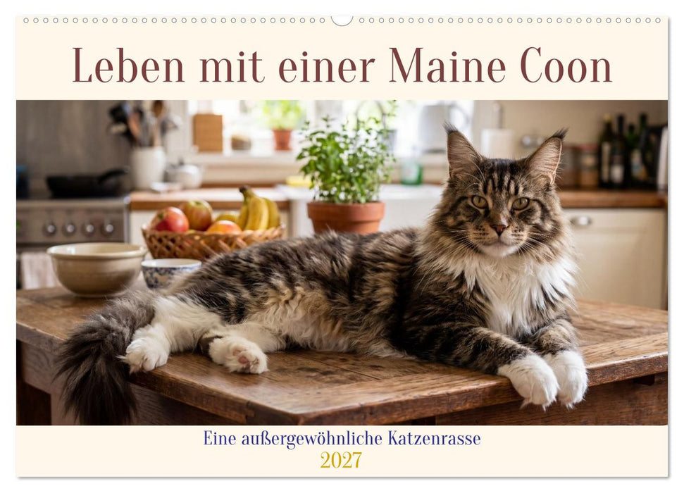 Leben mit einer Maine Coon (CALVENDO Wandkalender 2027)