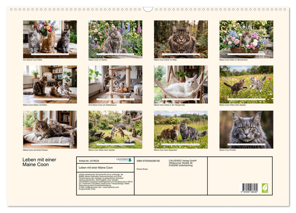 Leben mit einer Maine Coon (CALVENDO Wandkalender 2027)