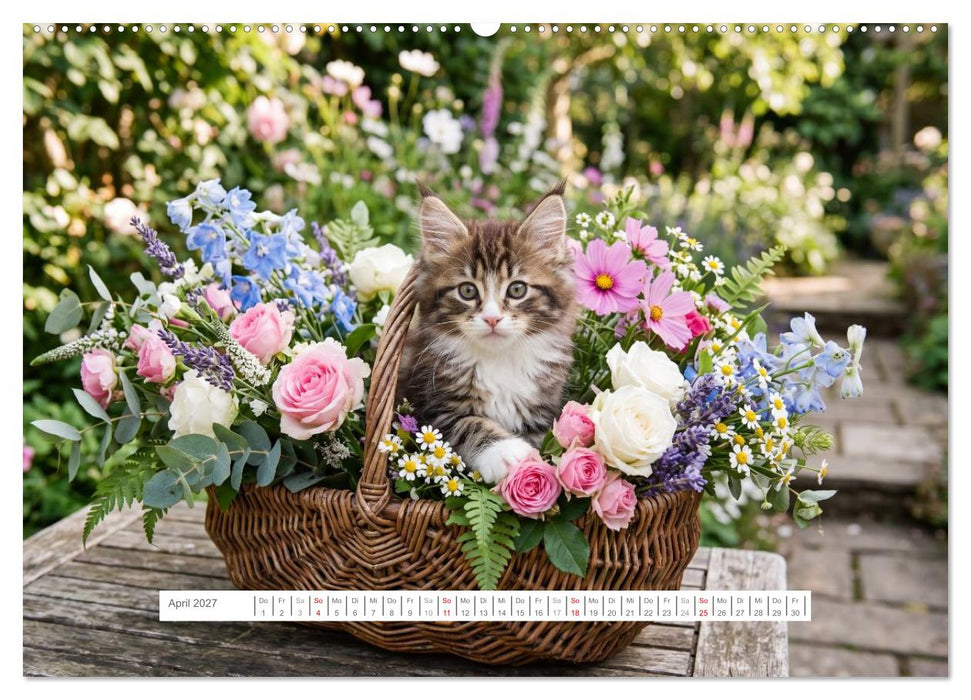 Leben mit einer Maine Coon (CALVENDO Wandkalender 2027)