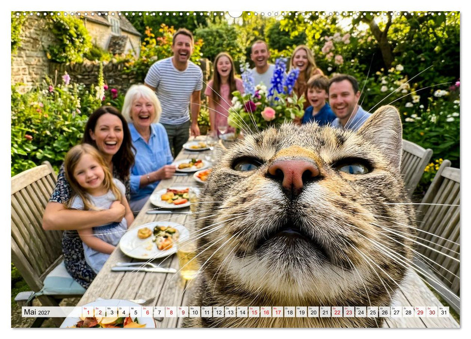 Typisch Katze! - Katzenalltag: Wir sind nur das Personal (CALVENDO Wandkalender 2027)