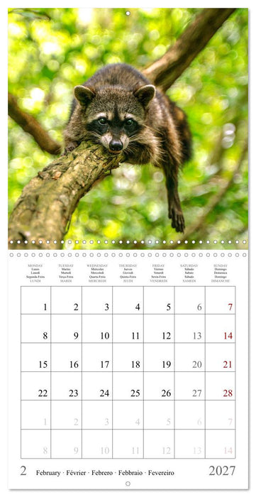 Costa Rica - The Magic of the Tropics (CALVENDO Monthly Calendar 2027)