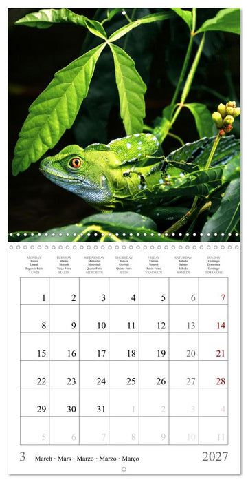 Costa Rica - The Magic of the Tropics (CALVENDO Monthly Calendar 2027)