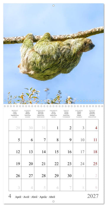 Costa Rica - The Magic of the Tropics (CALVENDO Monthly Calendar 2027)