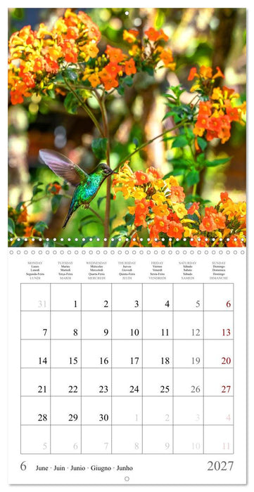 Costa Rica - The Magic of the Tropics (CALVENDO Monthly Calendar 2027)