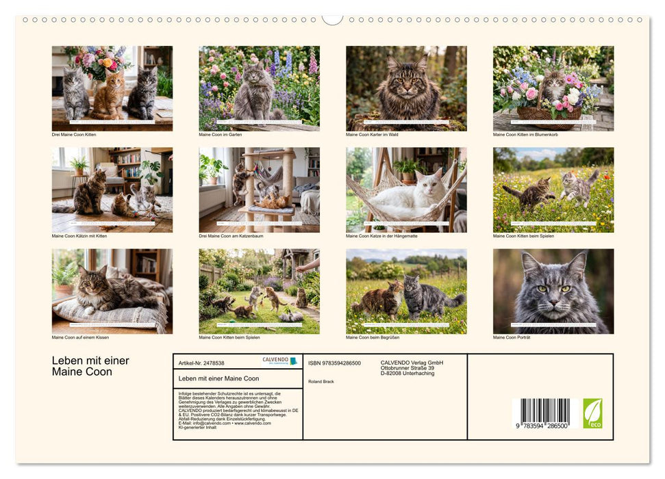 Leben mit einer Maine Coon (CALVENDO Premium Wandkalender 2027)