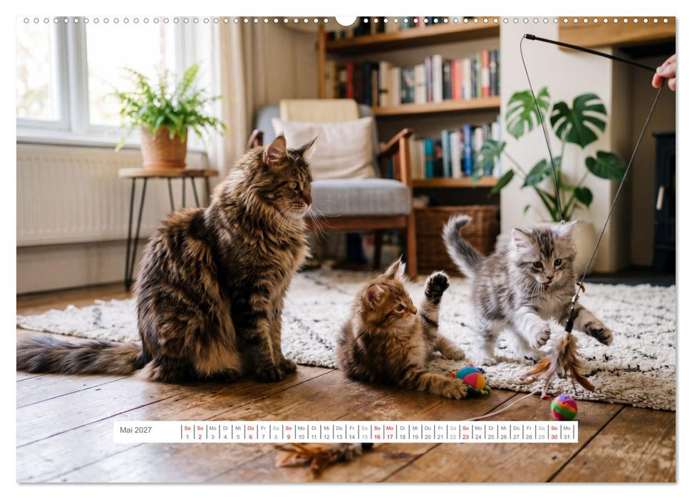 Leben mit einer Maine Coon (CALVENDO Premium Wandkalender 2027)