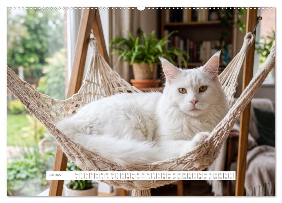 Leben mit einer Maine Coon (CALVENDO Premium Wandkalender 2027)