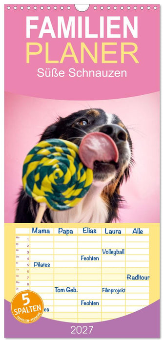 Süße Schnauzen (CALVENDO Familienplaner 2027)