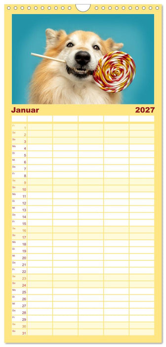 Süße Schnauzen (CALVENDO Familienplaner 2027)