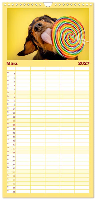 Süße Schnauzen (CALVENDO Familienplaner 2027)