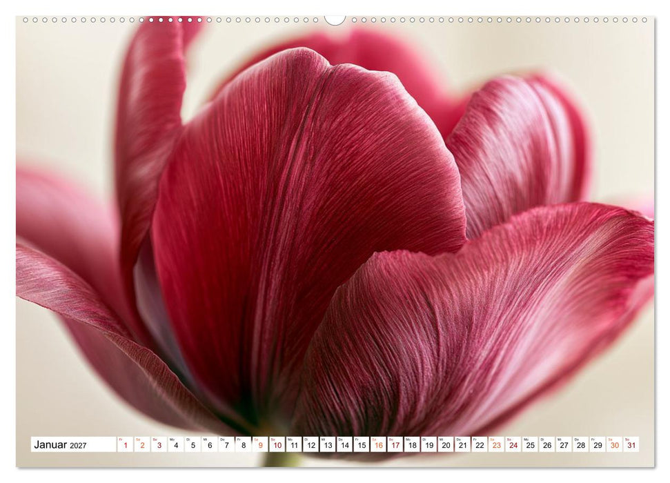 Blütenharmonien (CALVENDO Premium Wandkalender 2027)