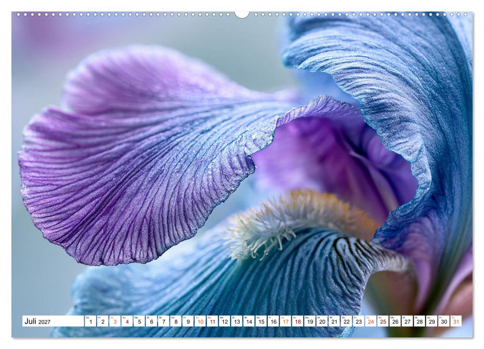 Blütenharmonien (CALVENDO Premium Wandkalender 2027)