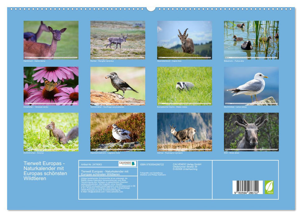 Tierwelt Europas - Naturkalender mit Europas schönsten Wildtieren (CALVENDO Premium Wandkalender 2027)