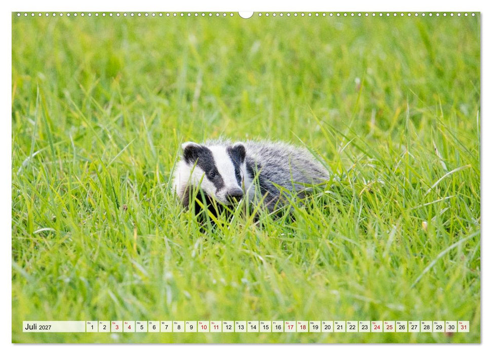 Tierwelt Europas - Naturkalender mit Europas schönsten Wildtieren (CALVENDO Premium Wandkalender 2027)