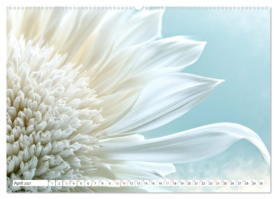 Die Leichtigkeit der Blüten (CALVENDO Premium Wandkalender 2027)