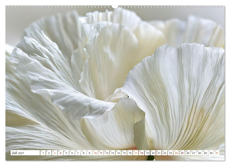 Die Leichtigkeit der Blüten (CALVENDO Premium Wandkalender 2027)