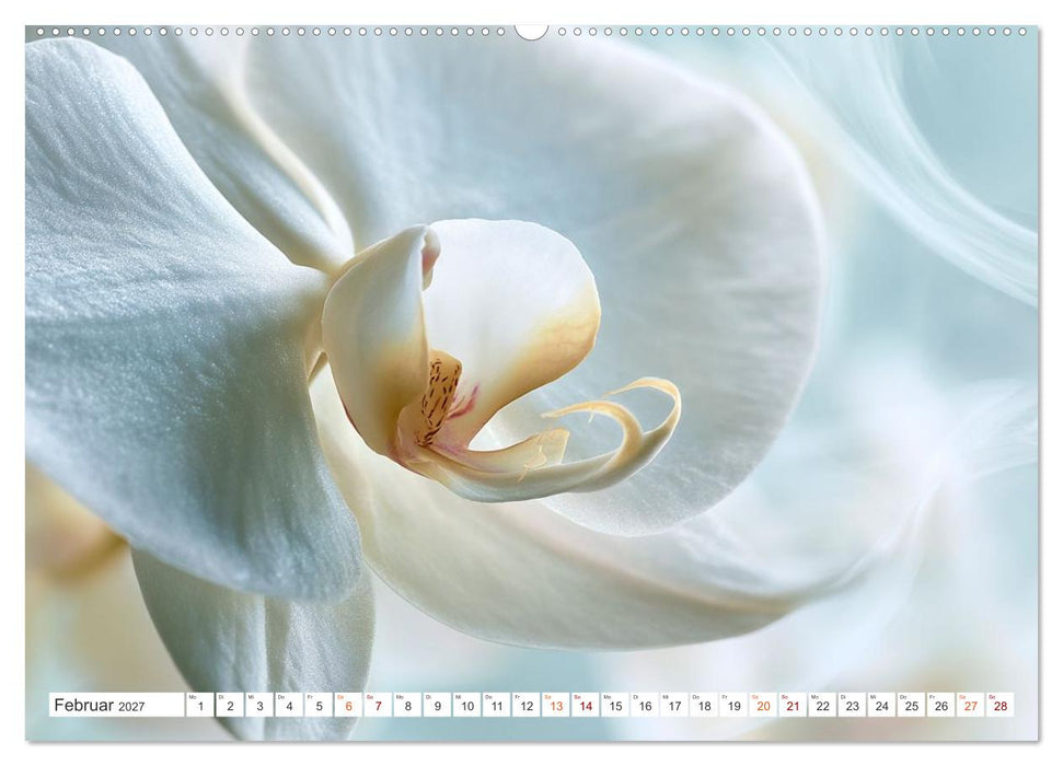 Die Leichtigkeit der Blüten (CALVENDO Wandkalender 2027)
