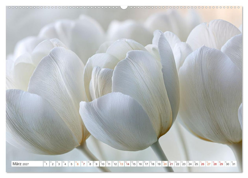 Die Leichtigkeit der Blüten (CALVENDO Wandkalender 2027)