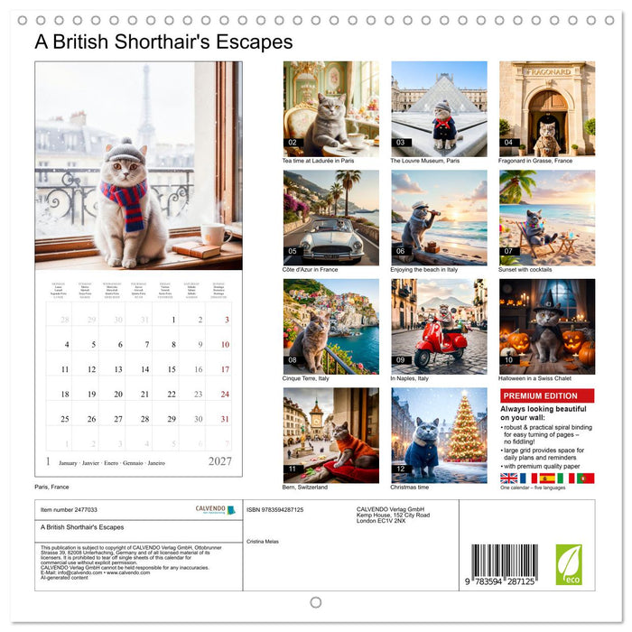 A British Shorthair's Escapes (CALVENDO Monthly Calendar 2027)