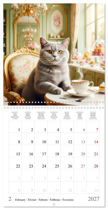 A British Shorthair's Escapes (CALVENDO Monthly Calendar 2027)