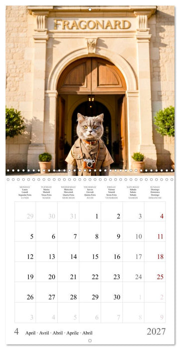 A British Shorthair's Escapes (CALVENDO Monthly Calendar 2027)