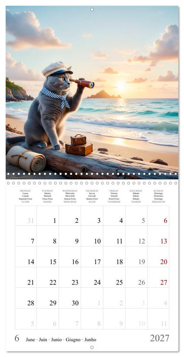 A British Shorthair's Escapes (CALVENDO Monthly Calendar 2027)