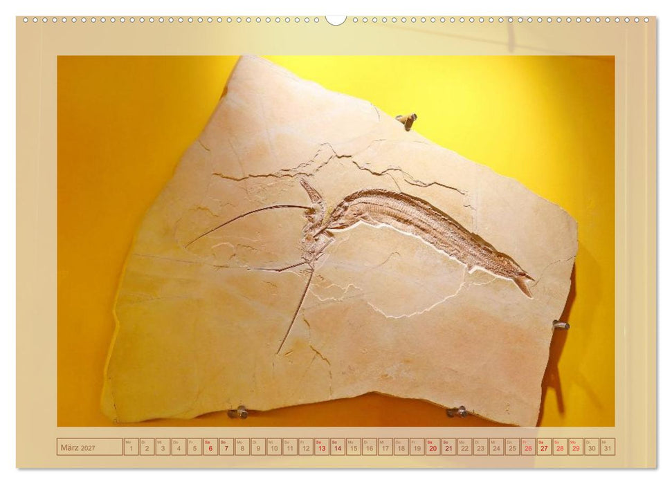 Solnhofen - zwischen Felsen und Fossilien (CALVENDO Premium Wandkalender 2027)