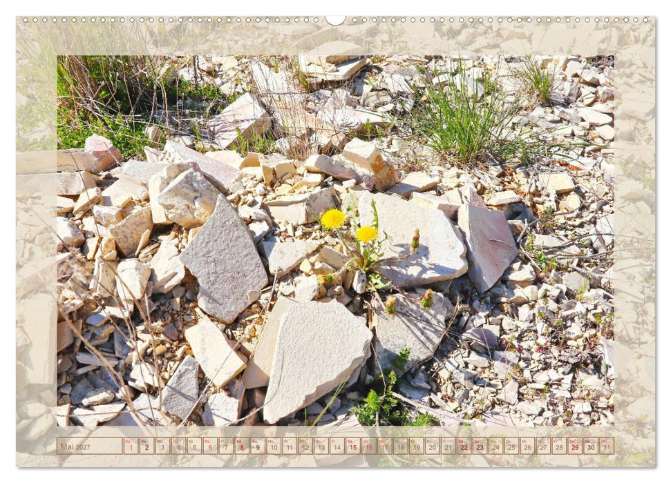 Solnhofen - zwischen Felsen und Fossilien (CALVENDO Premium Wandkalender 2027)