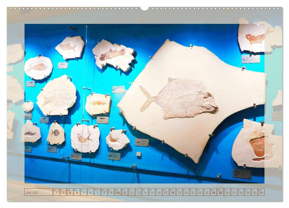Solnhofen - zwischen Felsen und Fossilien (CALVENDO Premium Wandkalender 2027)
